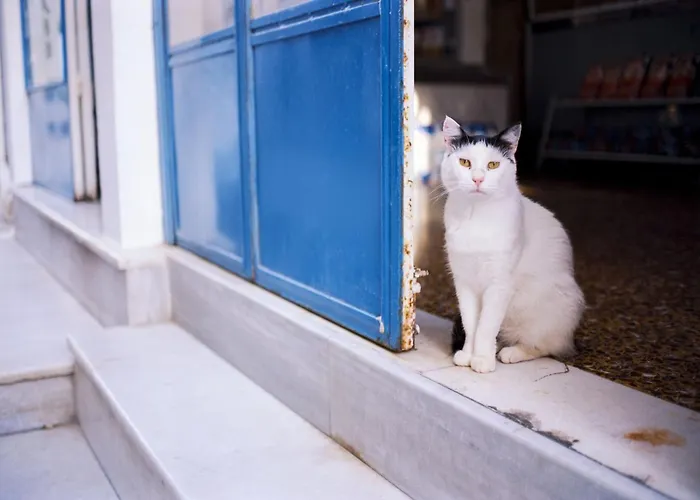 Luxury Naxos Deluxe Triple 150m From St George דירה